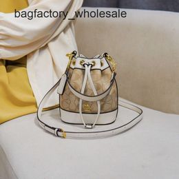 Hot Designer Handbag in Europe and America French Bucket Bag for Women New Womens Fashionable Printed Crossbody High-end Texture Versatile Shoulder Bag