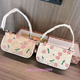 Factory Wholesale Womens Small Bag 2024 New Style with Hanging Accessories Underarm Cherry Print Plastic Sealing Box Shoulder