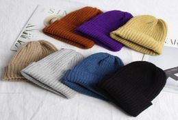 Adult Winter Hats Man Women Beanie Cap Unisex Cuffed Plain Skull Beanies Toboggan Knit Soft Hat 22 Colours WY893w9482714