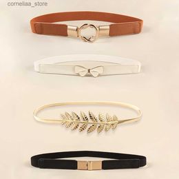 Belts 4 pieces paired with fashionable womens dress belt simple waist elastic womens shoulder strap bow decoration coat sweater beltY240315