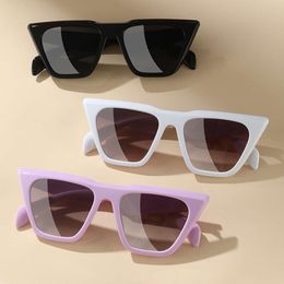 New Style Plain Women's Men's Fashionable Butterfly Frame Sunglasses, Personalized Cat's Eye Sunglasses