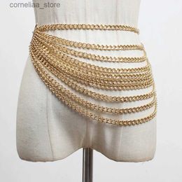 Belts Fashion Gold Chain Belt Female Waist Tassel Punk Metal Belts For Women High Quality Adjustable Goth Waistband Dress AccessoryY240315