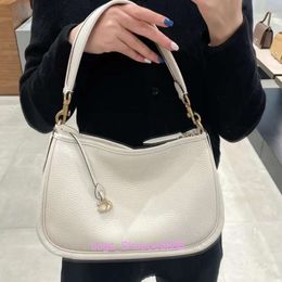 Factory Wholesale 2024 New Cc438 Single Shoulder Crossbody Underarm Bag with Cow Leather Texture Cary Commuter Premium Womens
