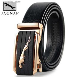 Belts Mens Belt Automatic Buckle Leopard Belts Business Casual Luxury Crocodile Buckle Belt Leather Ratchet Belt Designer BeltY240315