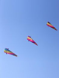 High strength Fibre cloth Kite Colourful Skeleton Long Tail Easy to fly Beach Kites outdoor sport Play2862169