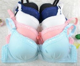 Whole2016 Vintage Women Girl Lovely Lace Underwear Suit Push Up Bra Sets Lingerie Solid Whole4062781