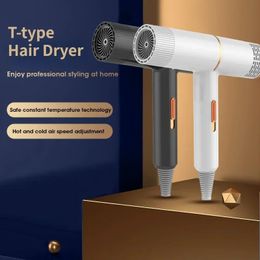 Hair Dryer Negative Ion Hair Care Professinal Quick Dry Home Appliances Powerful Hairdryer Electric Hair Dryer 240312