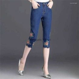 Womens Jeans Fashion Embroidery High Stretch Summer 2023 Denim Calf-Length Pant Women Loose Harem Pants Girls Casual Breeche