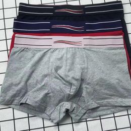 Mens Intimate Underwear Comfortable and Breathable Boys Underpants with Striped Pattern Various Colour Styles Everyday Wear1198509