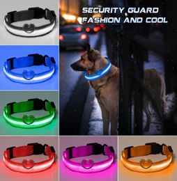 Fashion LED Nylon Dog Collars Cat Harness Flashing Light Up Night Safety Pet Collar multi color SXL Size Christmas Accessories2669307