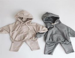 Newborn Baby Clothing Sets Autumn Boys Hooded Sweatshirt Long Sleeve Tops Kids Girls Harem Pants Suit Children Clothes Set 20102327339725