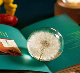 Novelty Items Real Dandelion Crystal Glass Resin Lens Ball Natural Plants Specimen Feng Shui Flowers Christmas Love Gift Home Deco6734677