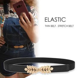 Belts Fashion Designer Thin Elastic Belts For Women High Quality Female Dress Black Corset Belt Leaf Waistband Stretch CummerbundsY240315