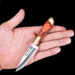 Camping Hunting Knives Forged standing outside camping portable small straight knife stainless steel blade wooden handle grilled meat slicer with pouch 240315