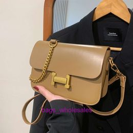 Luxury Handbags Are Sold Cheaply Internet Celebrity High-end Handbag for Womens 2024 New Trendy and Fashionable Small Bag Autumn Winter Shoulder