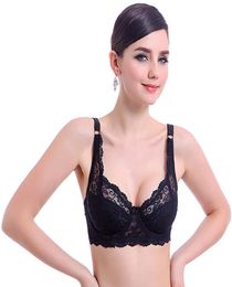 Top Underwear Sexy Push Up Bras 34 Padded Lace Sheer Cup b Only Women Bra7843542