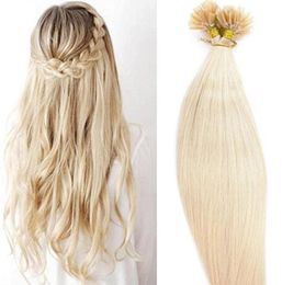 ELIBESS whole 300spack 1gs 20quot Keratin nail u Tip Human Hair Extensions Indian hair 613 60 platinum blonde dhl Fast 7756384