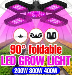 Plant Grow Light LED Phyto Lamp Greenhouse E27 Full Spectrum Lampara Growth Tent Bulb 85265V Hydroponics Lamps 200W 300W 400W2120304