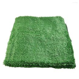 Decorative Flowers Lawn Artificial Grass Mat Simulated 200 200CM 2cm Thickness For School Gardening Props Kindergarten Playground