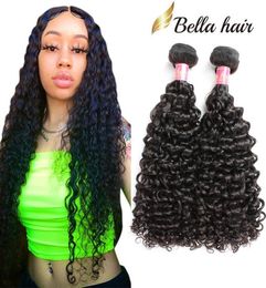 bella hair 2pcsLot 11A one donor highest grade peruvian deep curly wave virgin hair bundle unprocessed brazilian hair weaves thic1397550