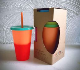 5set 24oz Changing Colour Reusable With Cold Drink Plastic Iced Cups Cold Tumbler Travel Juice Mug Magic Coffee Bottle Straw Bbcla6829097