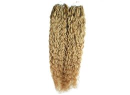 Micro Loop Ring Links Remy Kinky Curly 100 real Human Hair Extensions 200g Micro Ring Hair Extensions 200s Micro Bead Extension1964197