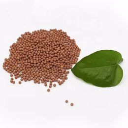 Wholesale Molecular Sieve Zeolite 1.6-2.5mm for Absorbing Moisture of Butane Refrigerant