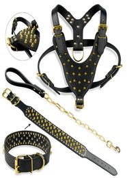 Gold Spikes Studded Leather Dog Pet Pitbull Harness Studded Collar Chain Leash Set for Large Dogs2918447