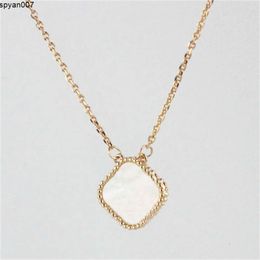 Luxury Designer Clover Necklace Fashion Pendant Jewellery for Neck Gold Chain