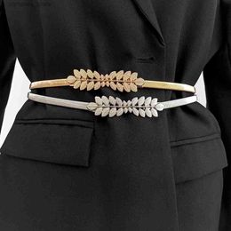 Belts Fashion Elastic Gold Chain Belts For Women High Quaity Luxury Female Waist Silver Metal Corset Belt Stretch Cummerbunds leafY240315