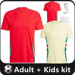 Wales 2024 2025 Football Jersey WILSON RAMSEY BALE Euro Cup New 2025 National Team 24 25 Soccer Shirt Men Kids Kit Full Set Home Men's Uniform BROOKS JOHNSON 16-4XL