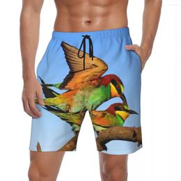 Men's Shorts Bird Coloured Feathers Board Summer Animal Fashion Running Surf Beach Short Pants Men Fast Dry HawaiiPlus Size Swim Trunks