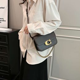 Factory Wholesale French Haute Couture Handbag for Women in 2024 New Autumn and Winter Niche Western-style Small Square Bag Fashionable Versatile Shoulder