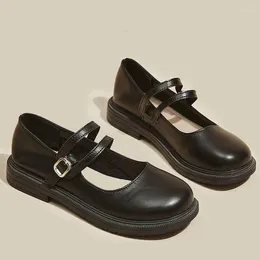 Casual Shoes Shallow Mouth Soft Sole Small Leather For Women Vintage Platform Mary Jane Shoe College Style Single