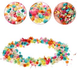 Decorative Flowers 1 Bag Of DIY Dried Flower Material Craft Materials Accessories