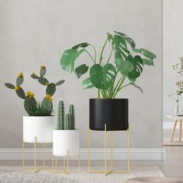 1/2 Gold Plant Stand with Pot Flower Rack Floor Type Succulent Holder Nordic Style Metal Planter Outdoor Indoor Balcony 240311