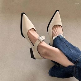 Dress Shoes 2024 Fall Mary Jane High Heels Womens Low Heel Elegant Sandals Pointy Toe Party Slip On Office Luxury Zapatos Mujer