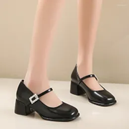 Dress Shoes 2024 Spring Women's Fashion Square Toe Simple Solid Colour Buckle Mary Jane PU Leather Thick Sole Women High Heel