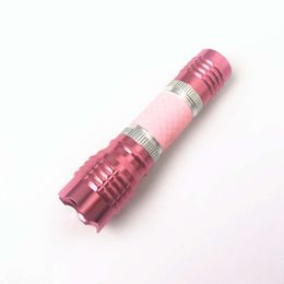 Selling LED Aluminum Alloy Portable Mini Flashlights, Gifts, Outdoor Home Lighting 226663