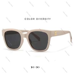 Luxury Retro Eye Celinly Sunglassesly Celiene Sunglasses for Women Ce Sunglasses Designer Arc De Oval French High Quality Celibe Sunglasses 166