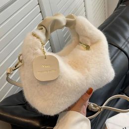 Shoulder Bags Senior Feeling Plush Handbag Bag Female 2024 Fashion Autumn And Winter Fur With A Small Chain Crossbody