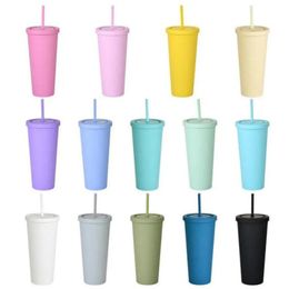 22OZ Mugs Matte Coloured Acrylic Tumblers with Lids and Straws Double Wall Plastic Resuable Cup Tumblers FY4489 0316