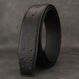 Belts Only Men Designer 3.8cm Wide Genuine Leather Ostrich Grain On Buckle Fashion Young Waistband Grey