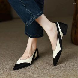 Casual Shoes Gentle Single French Niche Shallow Mouth Point Simple Everything Grandma Female Flat Non-slip Match Colour