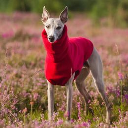 Winter Fleece Whippet Vest Italian Greyhound Clothes Turtleneck Dog Clothes Soft Fleece Clothes 240301
