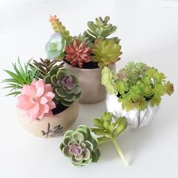 Decorative Flowers Simulated Succulent Plant Qingluan Tiannv Ornamental Bonsai Color Artificial Potted