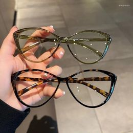 Sunglasses Myopia Glasses Women Mens European And American Style Cat Eye Reading Glasses-1.0 To -4.0