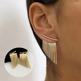 Dangle Earrings Fashion Tassel Statement Long Curved Fringe Pendant Jewelry Accessories For Women Egirls Gold Color Temperament Earring
