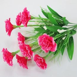 Decorative Flowers Carnation Imitation Of True And False Living Room Decoration Plastic Dry Flower Vase Indoor Outdoor Table