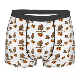 Underpants Capybara Hydrochoerus Hydrochaeris Animal With Mandarin Orange Panties Men's Underwear Ventilate Shorts Boxer Briefs